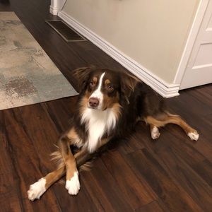 Meet your Posher, Patrick